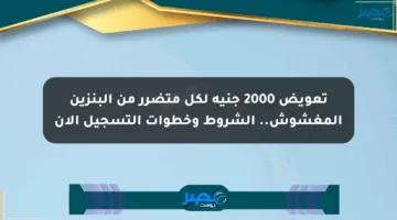 تعويض 2000 جنيه لكل متضرر من البنزين المغشوش.. الشروط وخطوات التسجيل الآن